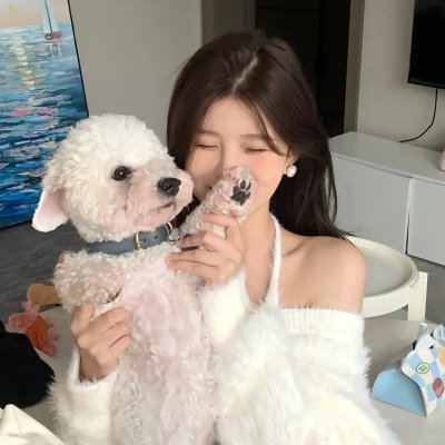 乌鸦小姐与蜥蜴先生 海报
